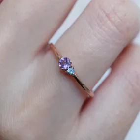 Amethyst and Blue Topaz Dual Birthstone 14k Rose Gold Vermeil Ring