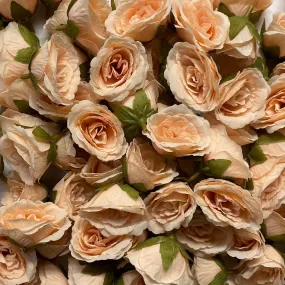 Artificial Silk Flower Heads - Peach Rose Style 140 - 5 Pack