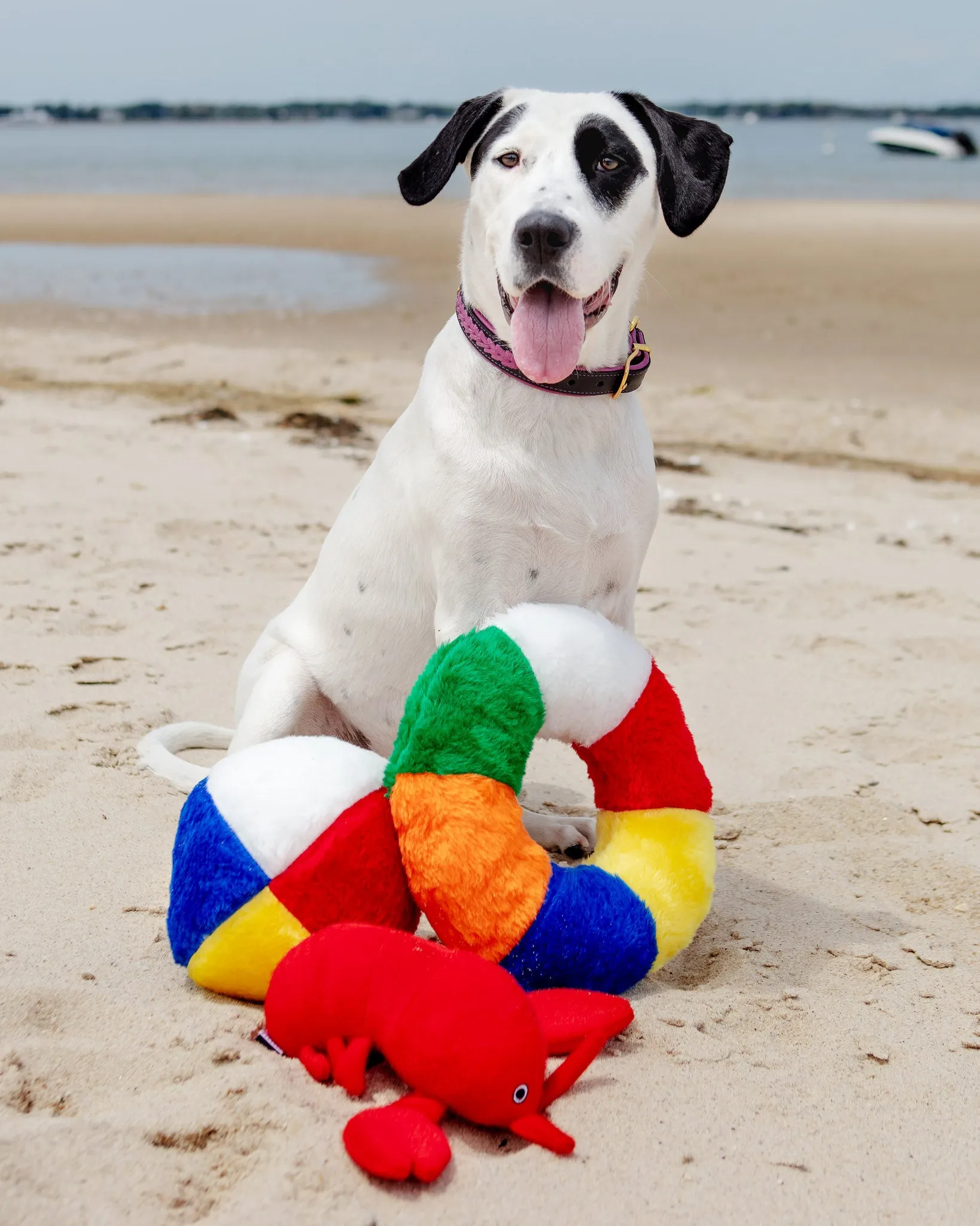 Beach Ball Plush Dog Toy (Made in the USA) (FINAL SALE)