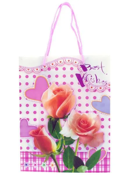 Best Wishes Gift Bag (Available in a pack of 24)