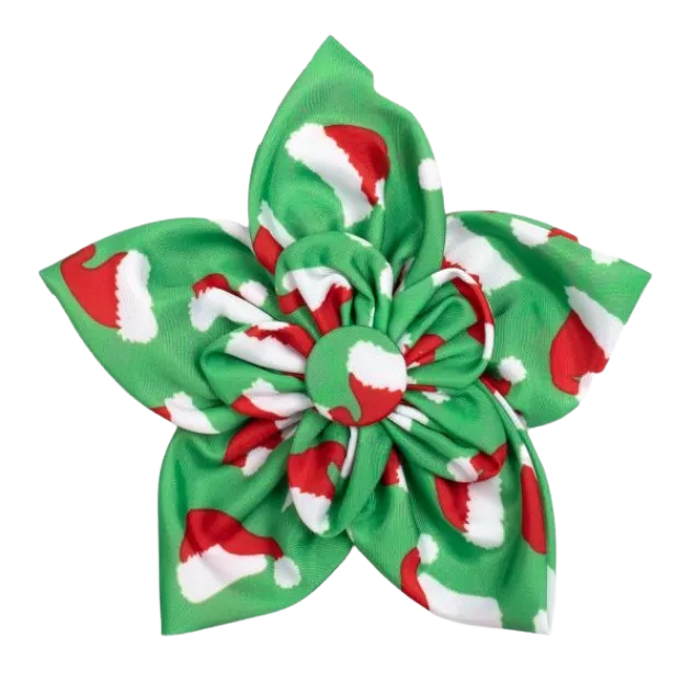 Collar Flower | Santa Hats